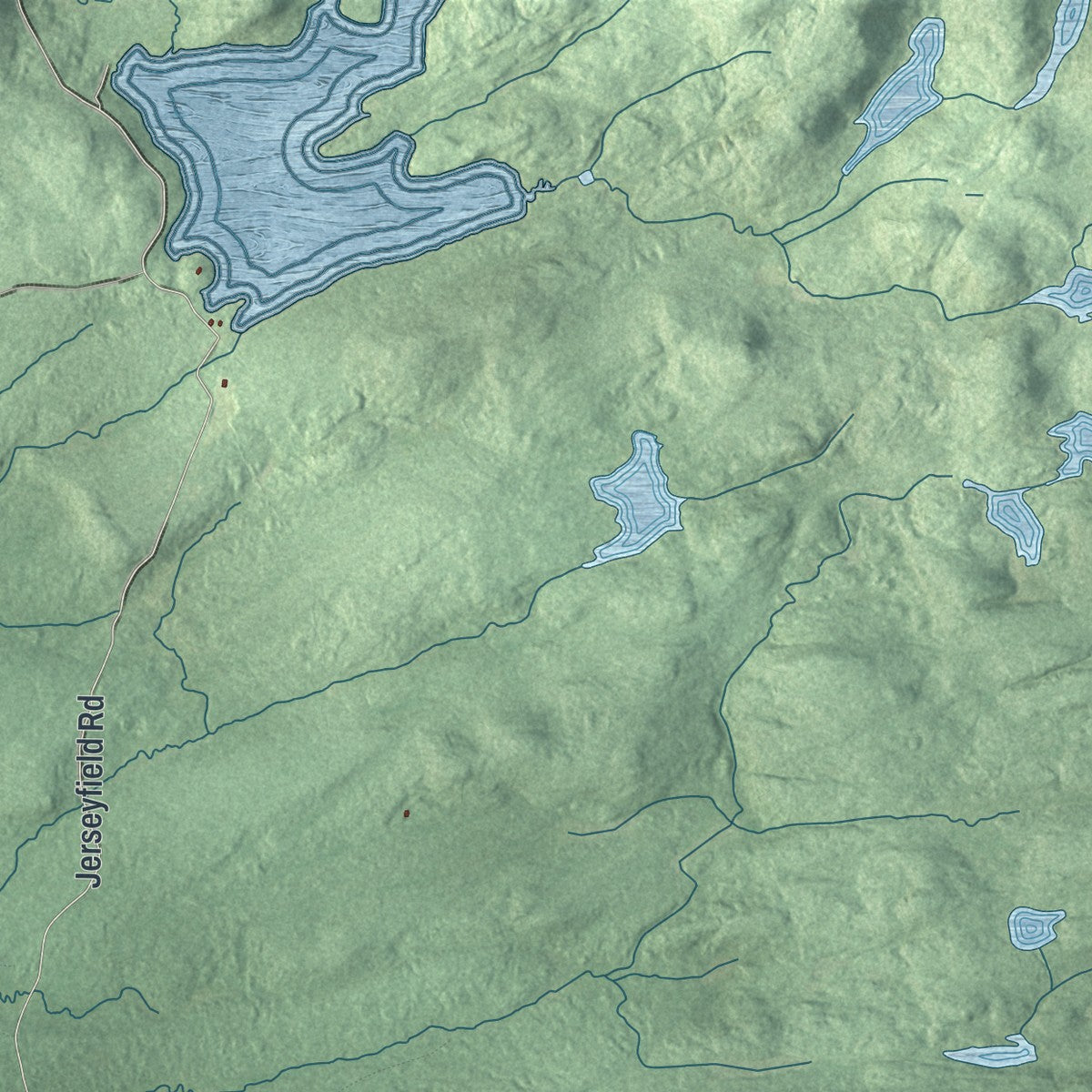 Close-up 1 of the Salisbury, New York map artwork