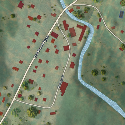 Close-up of the map of Salt Point, New York print showing street and building detail