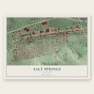 Salt Springs, New York map print, the full design