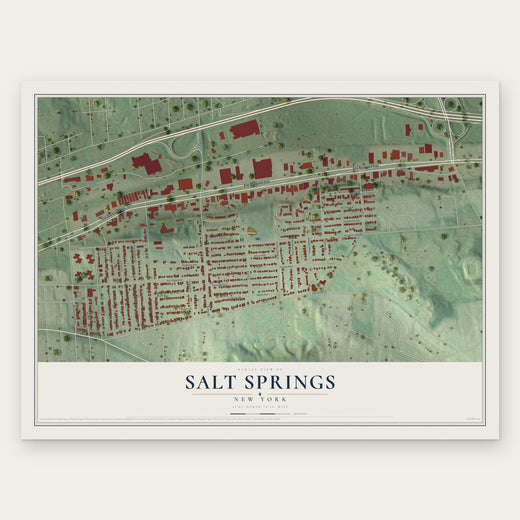 Salt Springs, New York map print, the full design