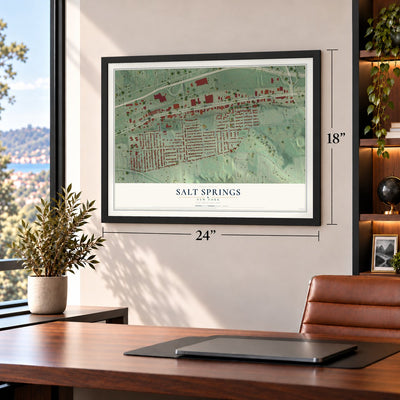 Salt Springs, New York map, 18 x 24 inch print in a black frame in a home office