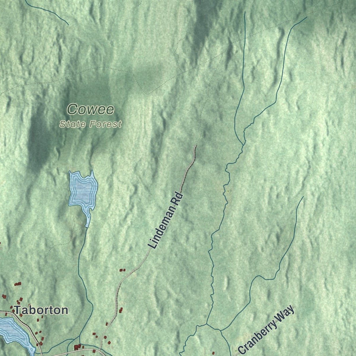 Close-up 1 of the Sand Lake, New York map artwork