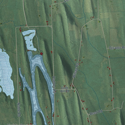 Close-up 1 of the Savannah, New York map artwork