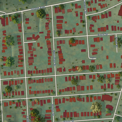 Close-up of the map of Skunk City, New York print showing street and building detail