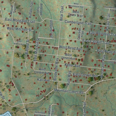 Close-up of the map of Smallwood, New York print showing street and building detail