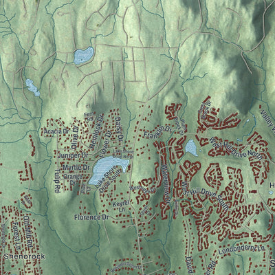Close-up 1 of the Somers, New York map artwork