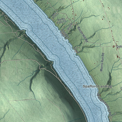 Close-up 1 of the Spafford, New York map artwork