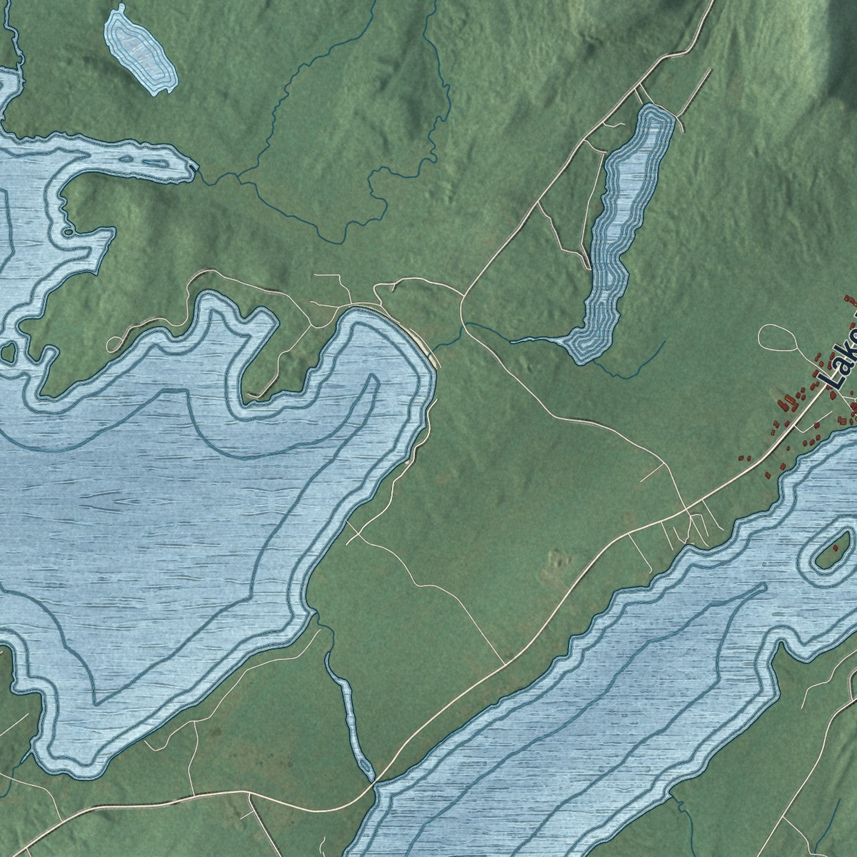 Close-up 1 of the Speculator, New York map artwork