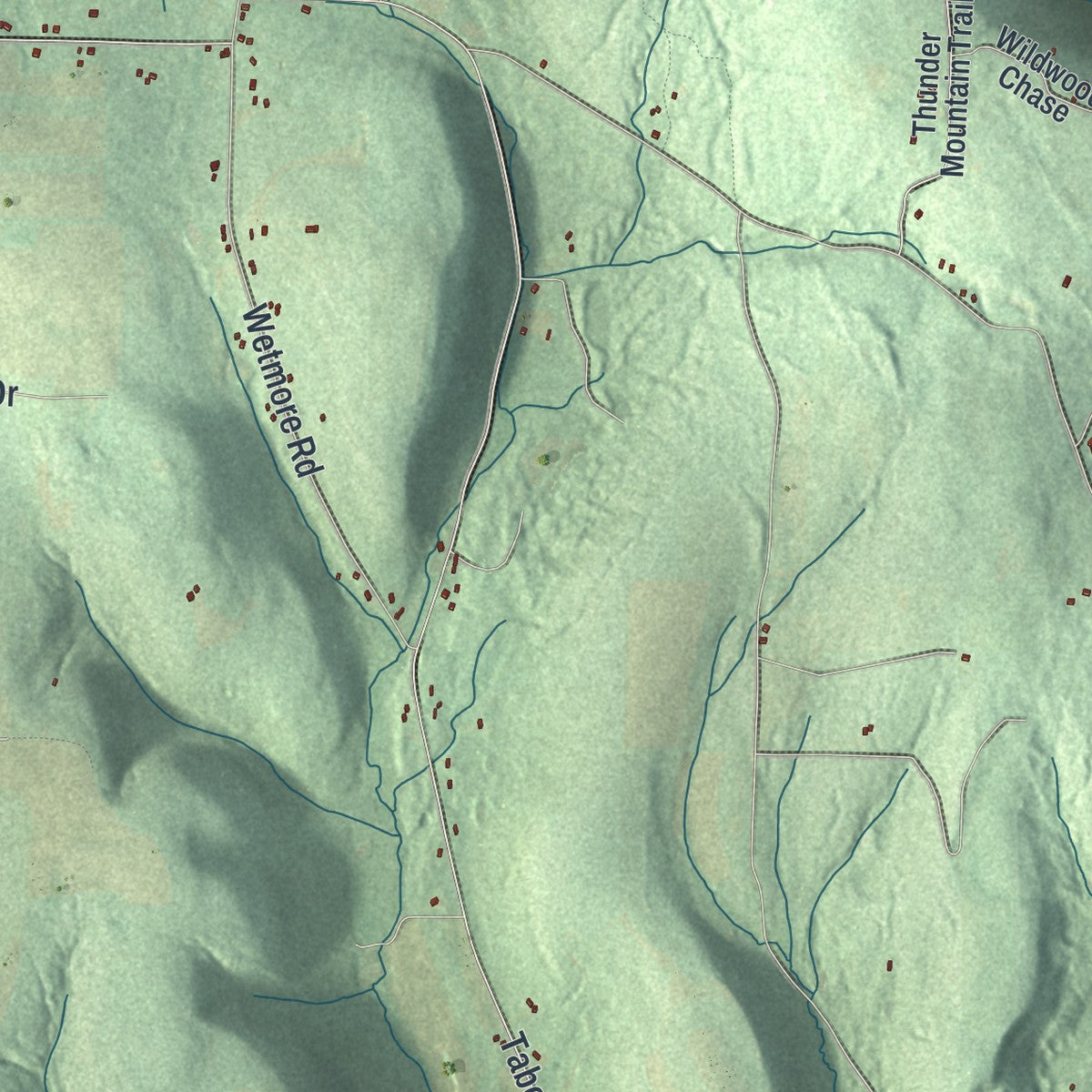 Close-up 1 of the Springwater, New York map artwork