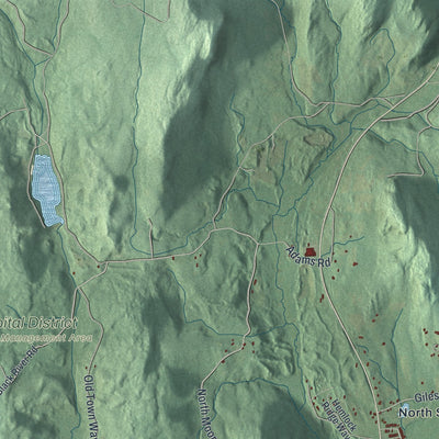 Close-up of the map of Stephentown, New York print showing street and building detail