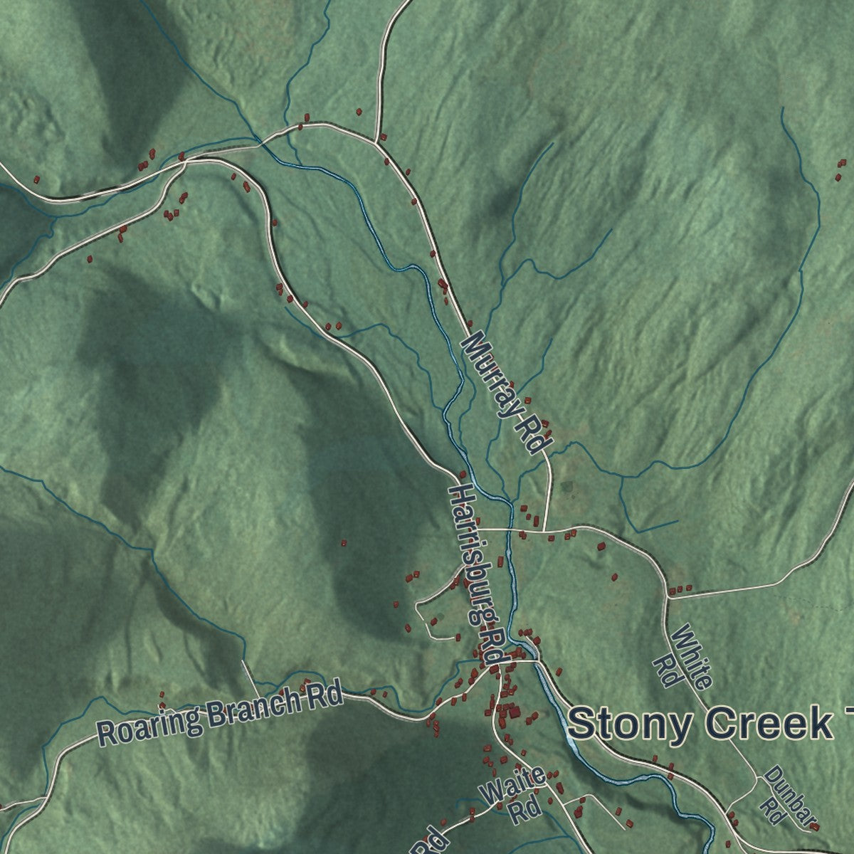 Close-up 2 of the Stony Creek, New York map artwork