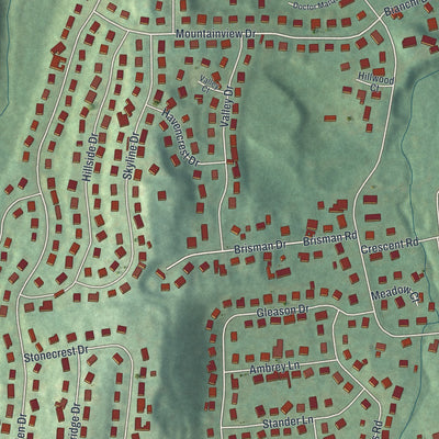 Close-up of the map of Thiells, New York print showing street and building detail