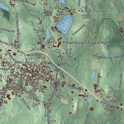Close-up 1 of the Thompson, New York map artwork