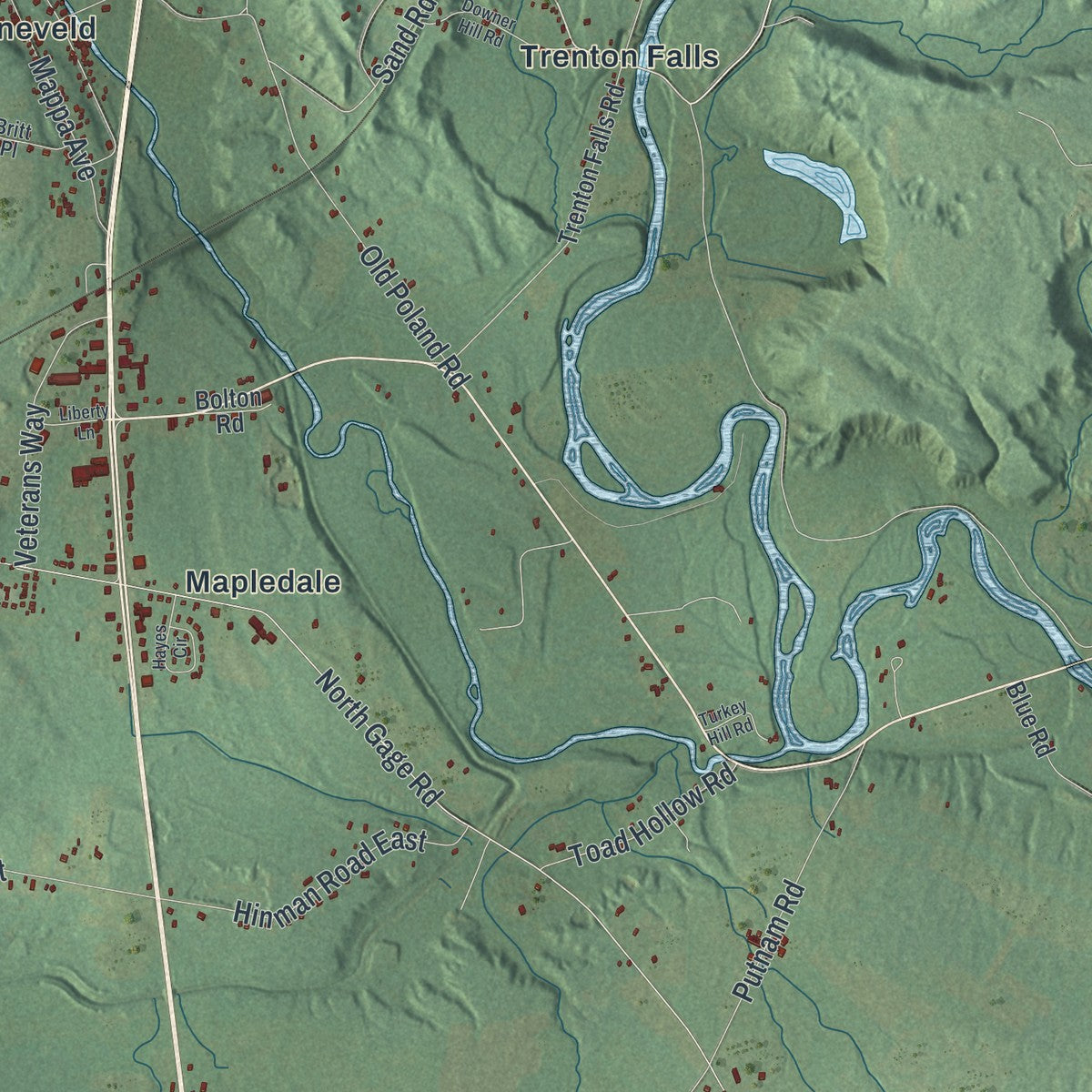 Close-up 2 of the Trenton, New York map artwork