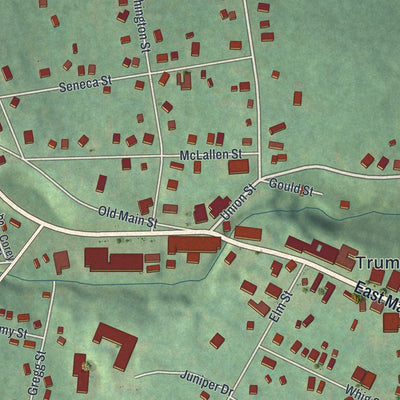 Close-up 1 of the Trumansburg, New York map artwork