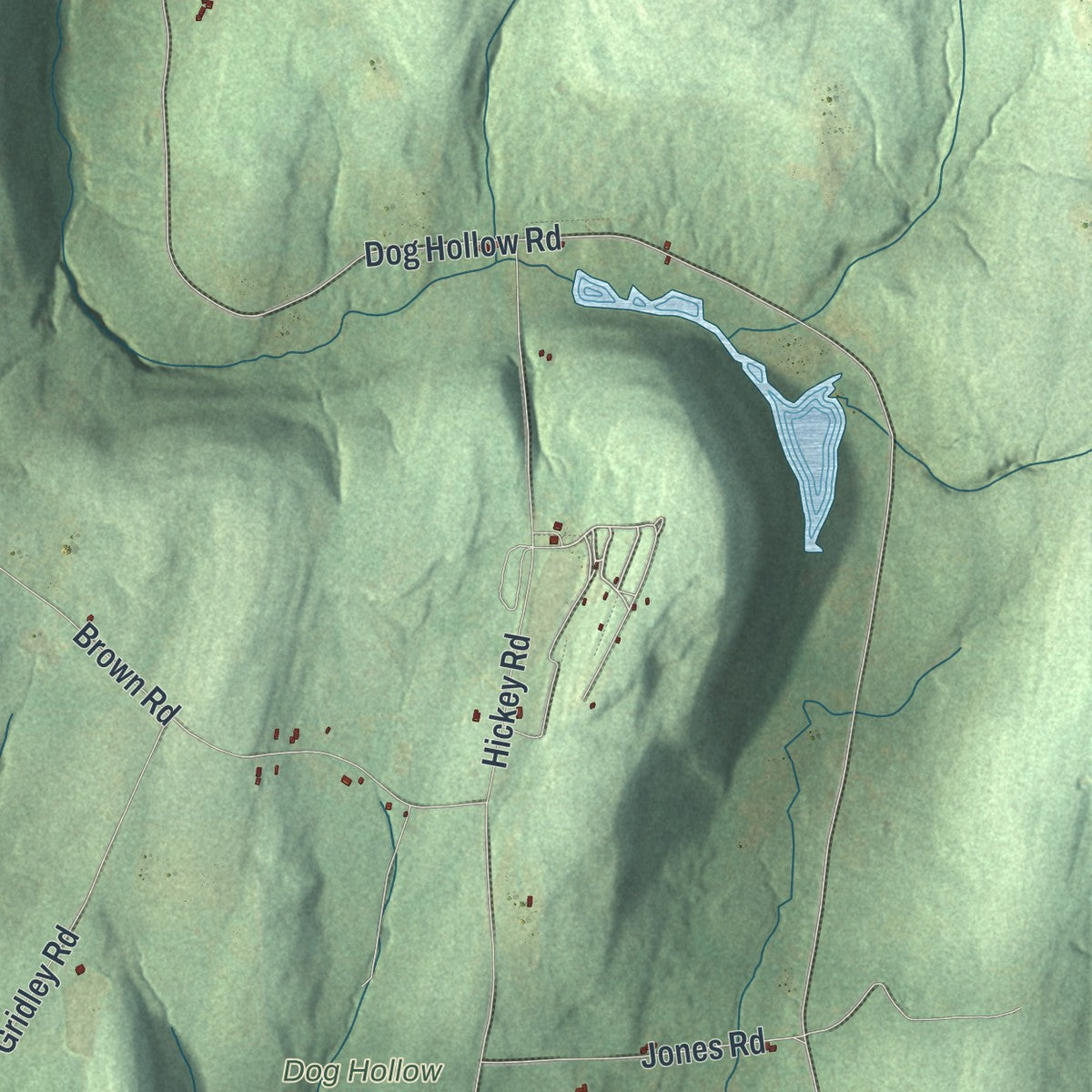 Close-up 2 of the Truxton, New York map artwork
