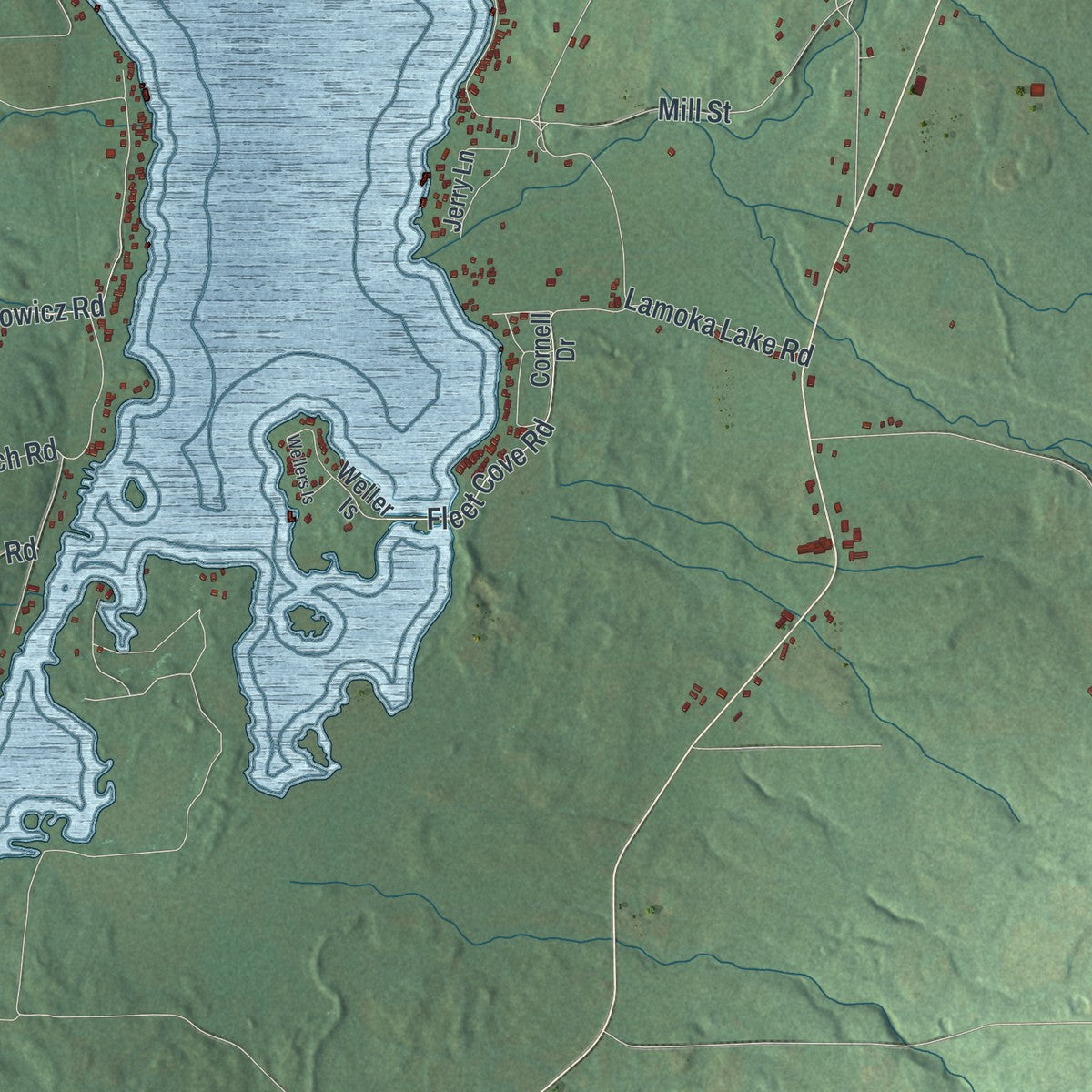 Close-up 1 of the Tyrone, New York map artwork