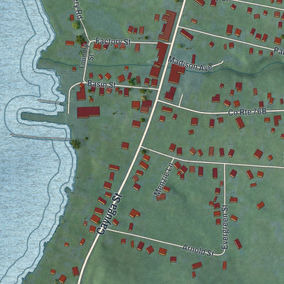 Close-up of the map of Union Springs, New York print showing street and building detail
