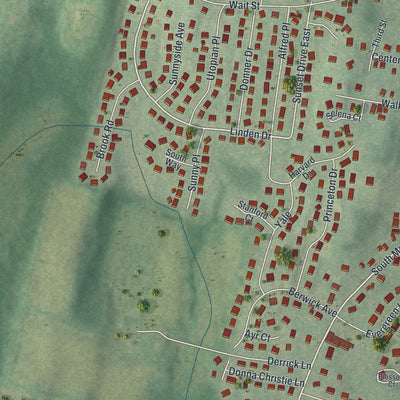 Close-up 2 of the Walden, New York map artwork