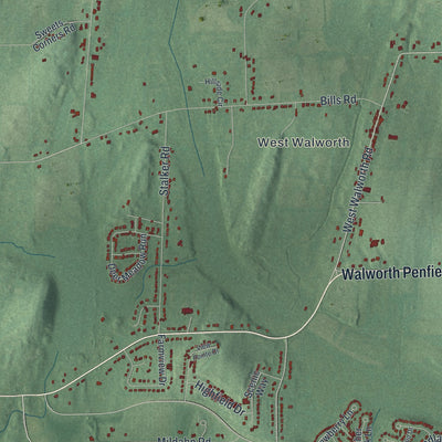 Close-up 2 of the Walworth, New York map artwork