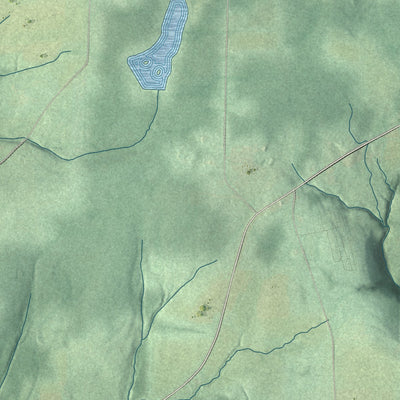 Close-up 2 of the Ward, New York map artwork