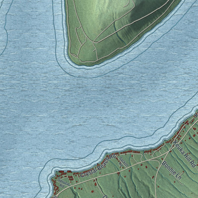 Close-up 1 of the Wayne, New York map artwork