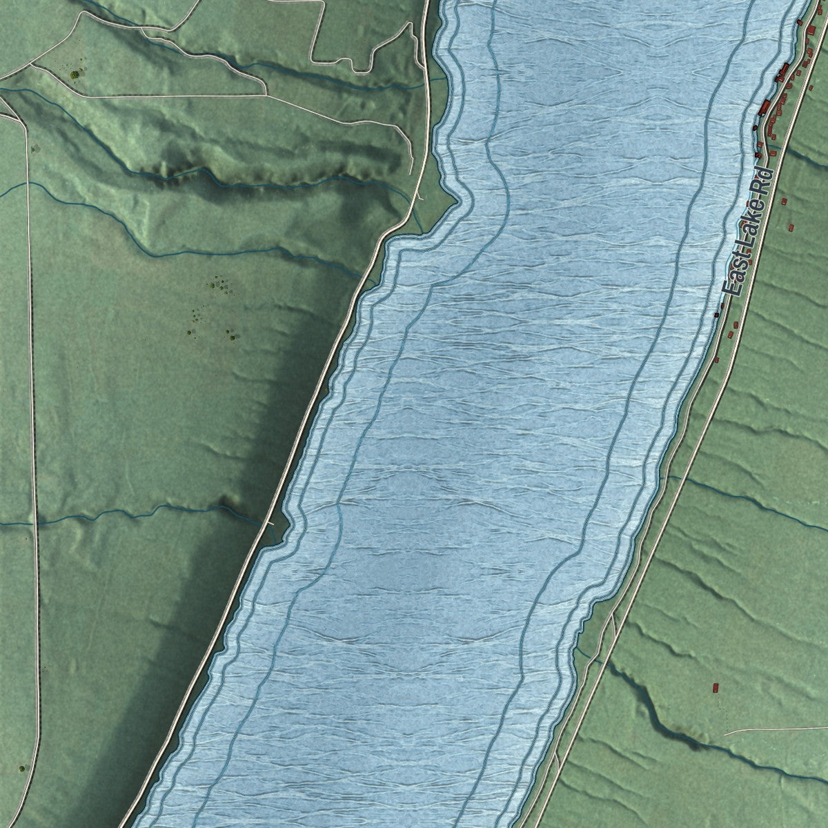 Close-up 2 of the Wayne, New York map artwork