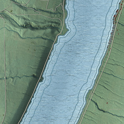 Close-up 2 of the Wayne, New York map artwork