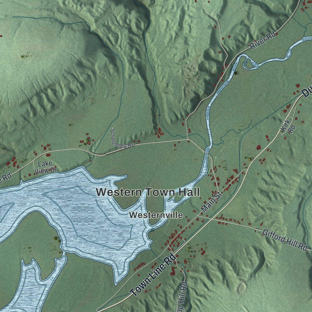 Close-up 2 of the Western, New York map artwork