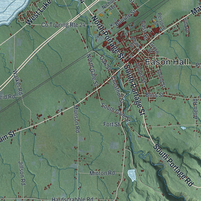 Close-up 1 of the Westfield, New York map artwork
