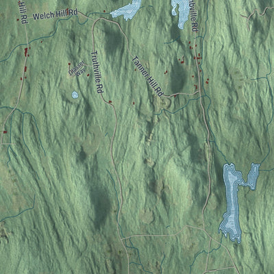 Close-up 1 of the Whitehall, New York map artwork