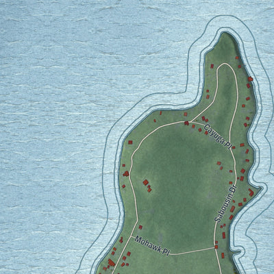 Close-up of the map of Willsboro Point, New York print showing street and building detail