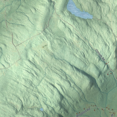 Close-up 2 of the Wilton, New York map artwork