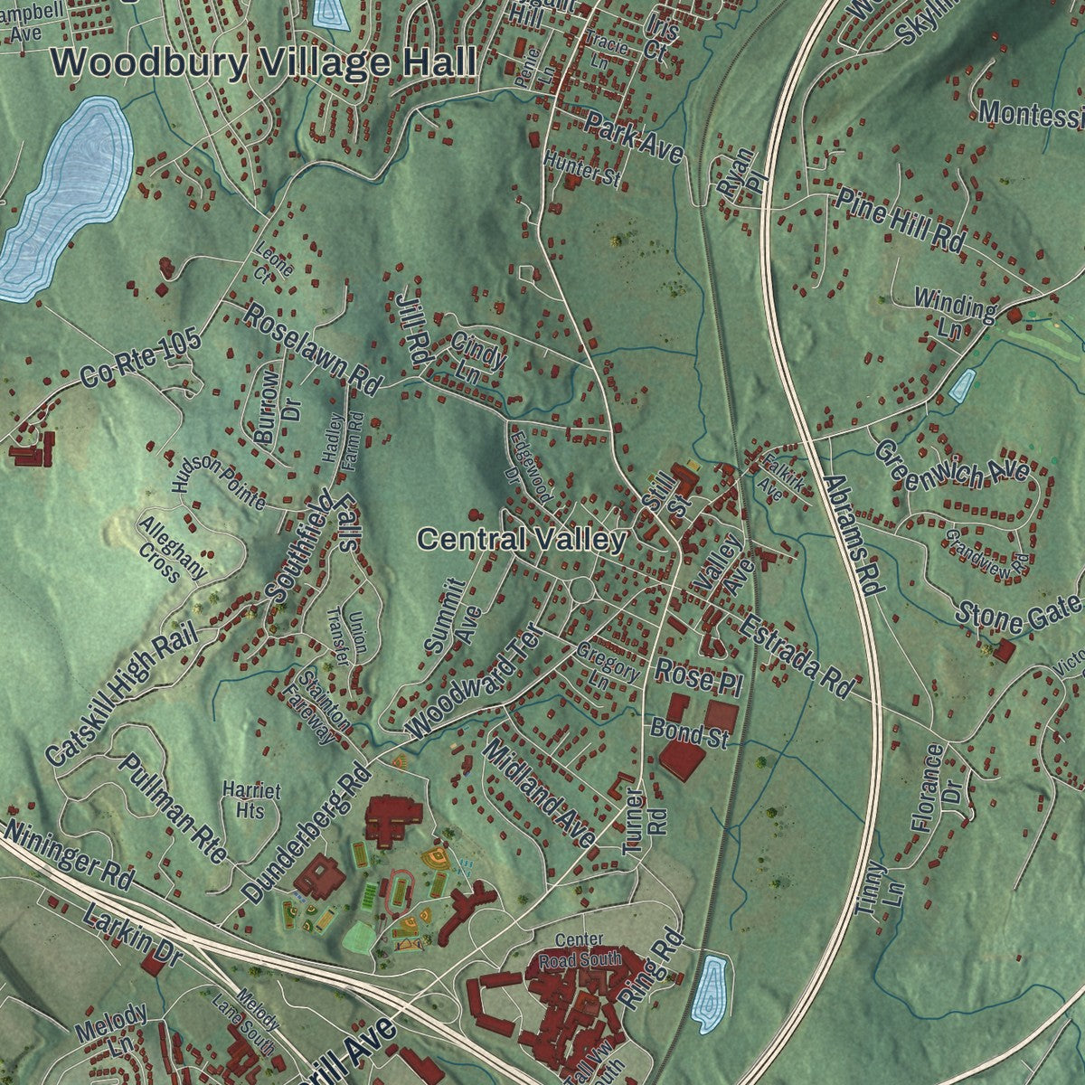 Close-up 1 of the Woodbury, New York map artwork