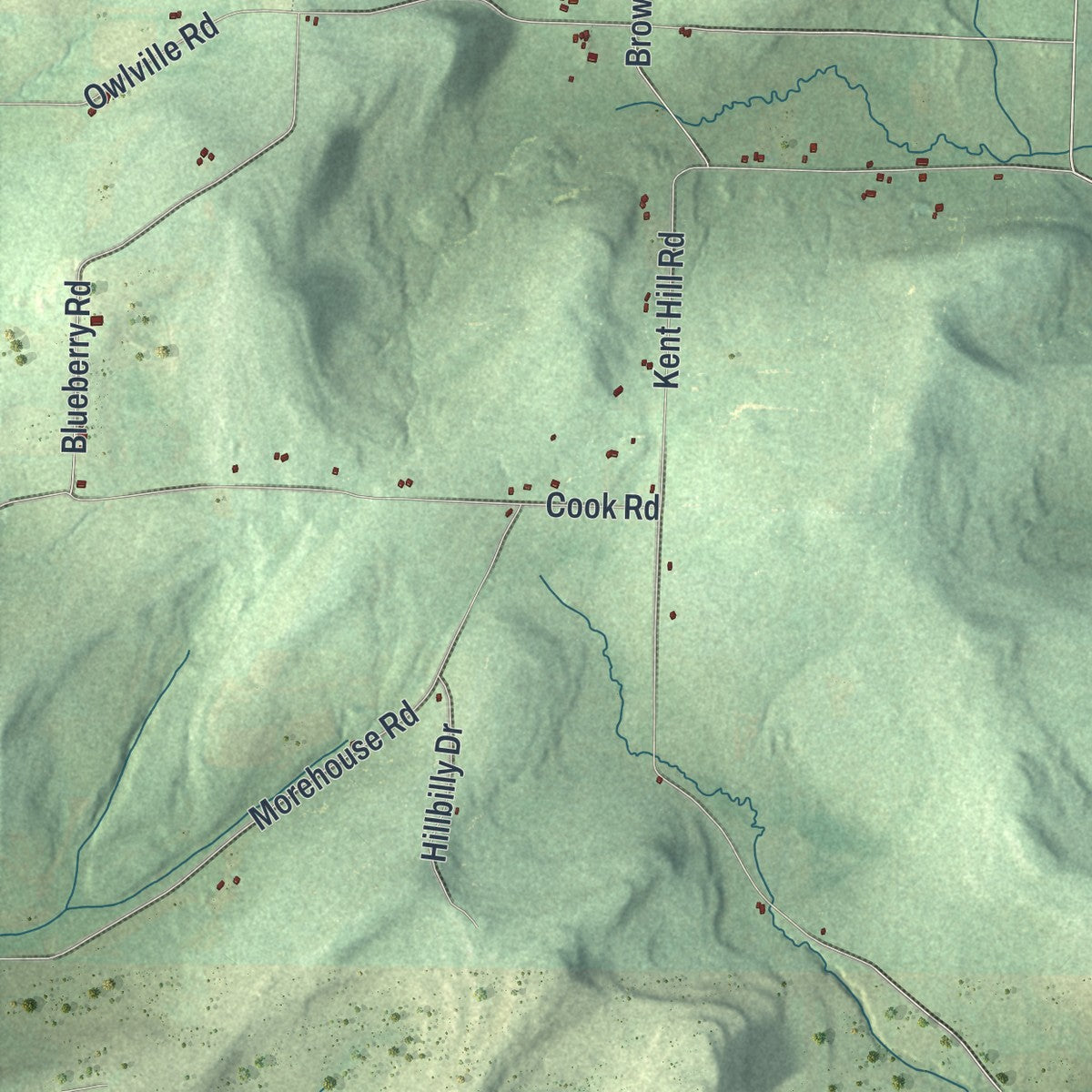 Close-up 1 of the Woodhull, New York map artwork