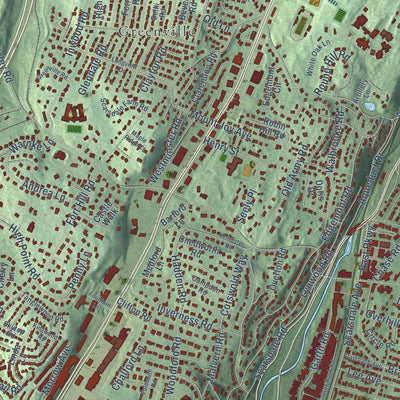 Close-up of the map of Woodlands, New York print showing street and building detail