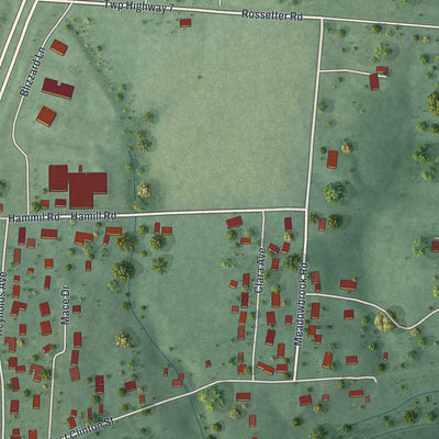 Second close-up of the map of Albany, Ohio print showing more streets and buildings