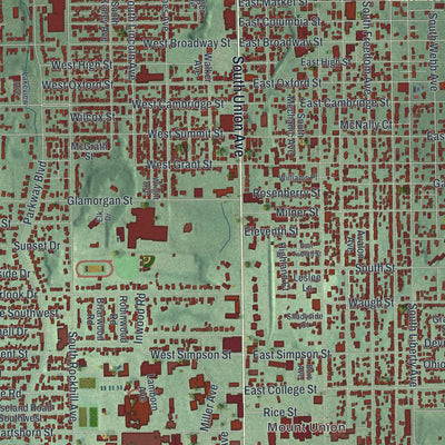 Close-up of the map of Alliance, Ohio print showing street and building detail