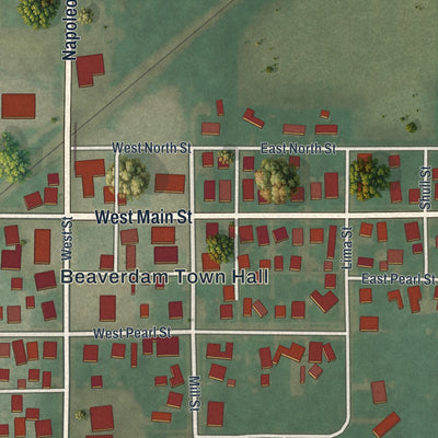 Close-up of the map of Beaverdam, Ohio print showing street and building detail