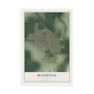 Map of Bloomville, Ohio, 12 x 18 inch print in a white wood frame