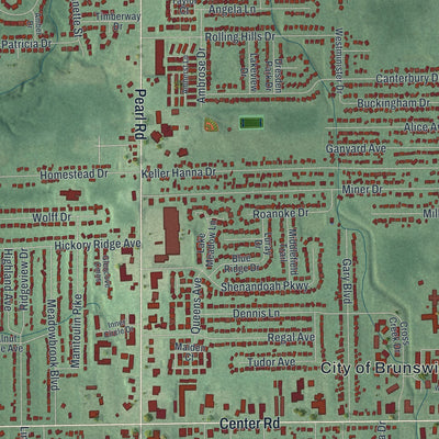 Close-up of the map of Brunswick, Ohio print showing street and building detail