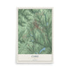 Map of Cadiz, Ohio, 12 x 18 inch unframed archival matte print