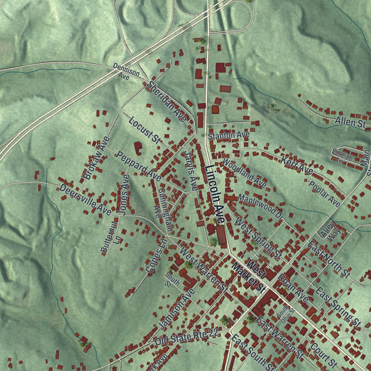 Close-up of the map of Cadiz, Ohio print showing street and building detail