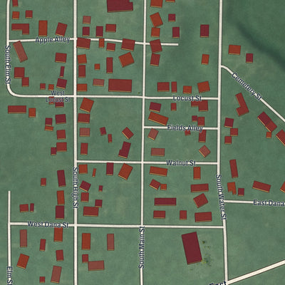 Close-up of the map of Caledonia, Ohio print showing street and building detail