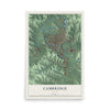 Map of Cambridge, Ohio, 12 x 18 inch unframed archival matte print
