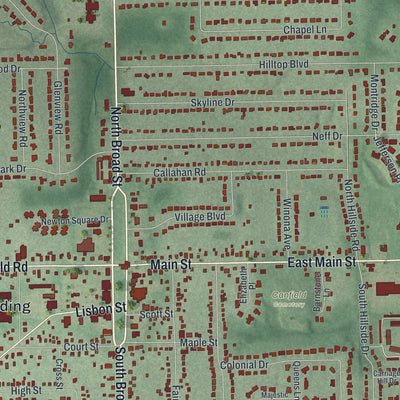 Close-up of the map of Canfield, Ohio print showing street and building detail