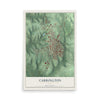 Map of Carrollton, Ohio, 12 x 18 inch unframed archival matte print
