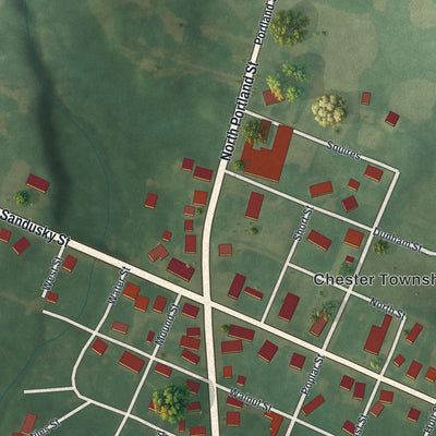 Close-up of the map of Chesterville, Ohio print showing street and building detail