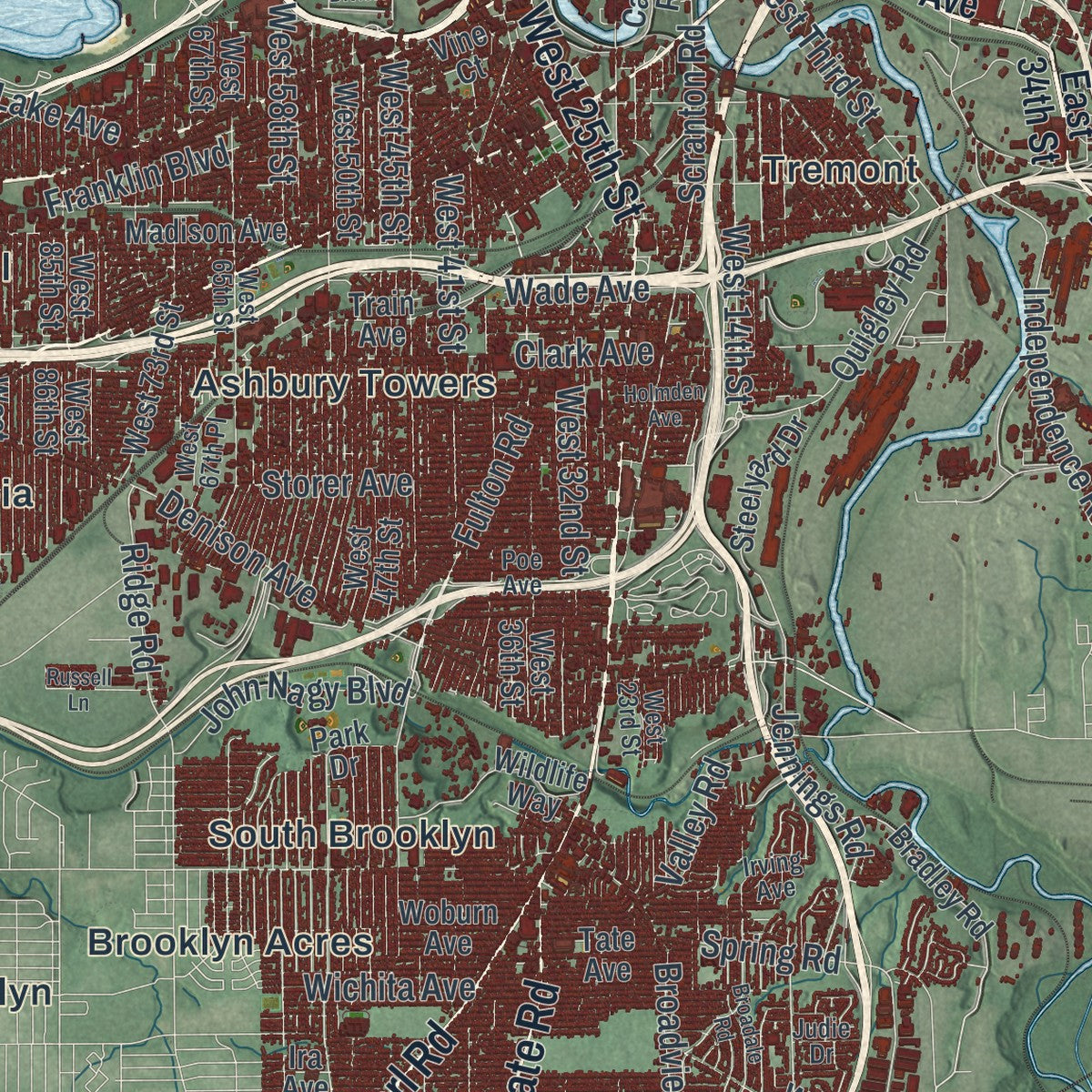 Close-up of the map of Cleveland, Ohio print showing street and building detail