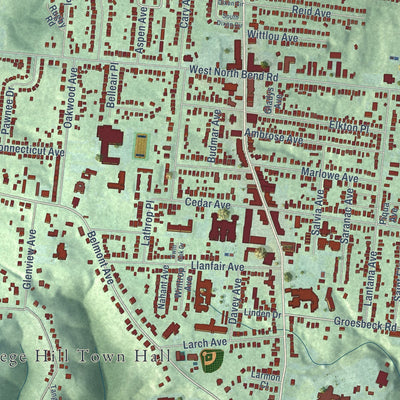 Close-up of the map of College Hill, Ohio print showing street and building detail